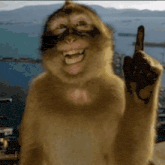 a monkey with a black mask on its face giving the middle finger